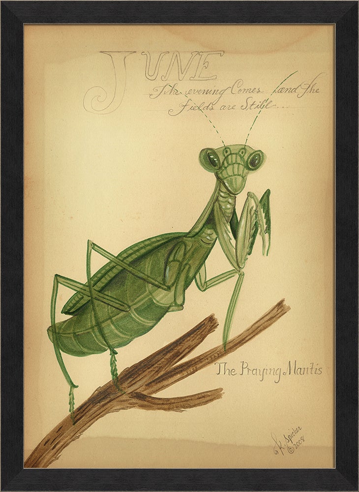 Spicher & Company MI The Praying Mantis 98135