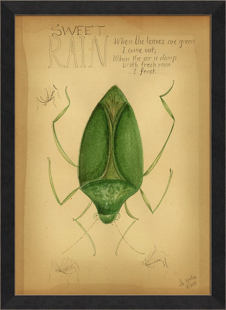 Spicher & Company MI Sweet Rain 98136