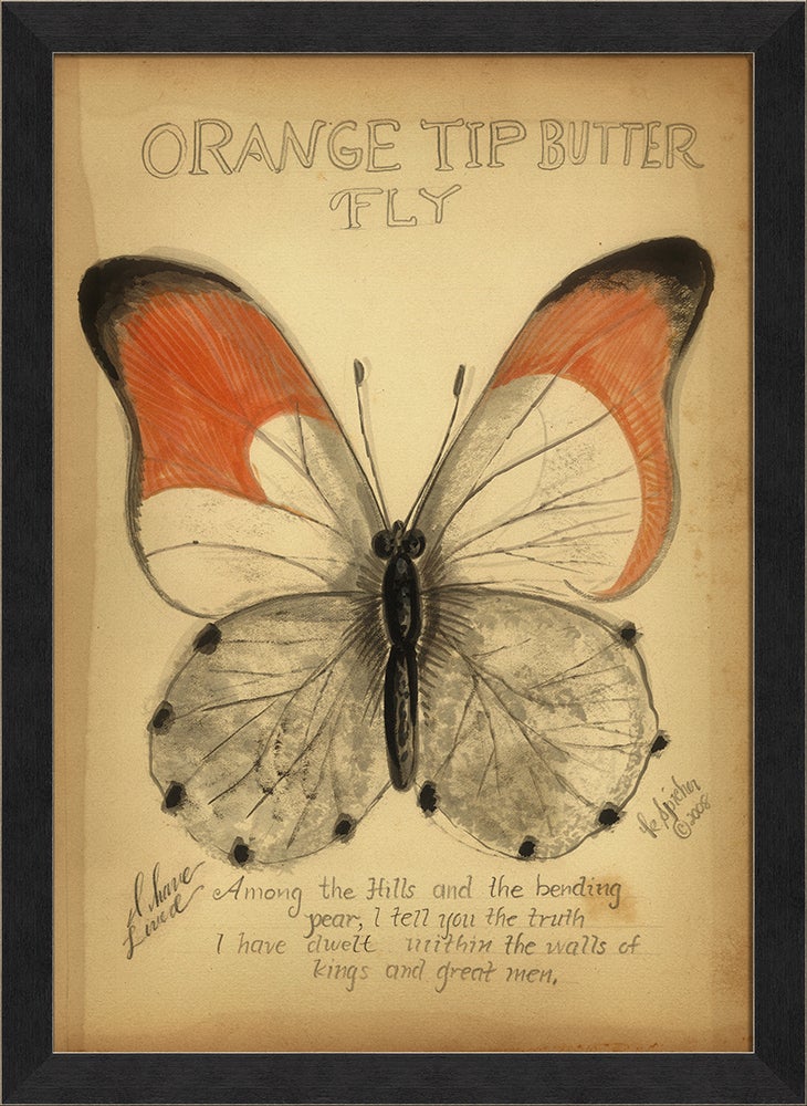 Spicher & Company BC Orange Tip Butterfly 98170