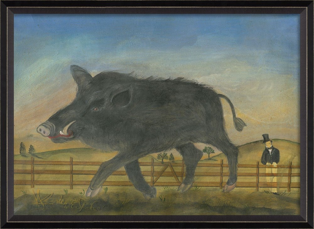 Spicher & Company BC Fenced Hog 98288