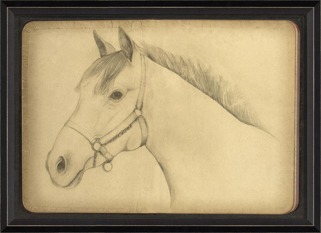 Spicher & Company BC Sketch of a Horse 98355