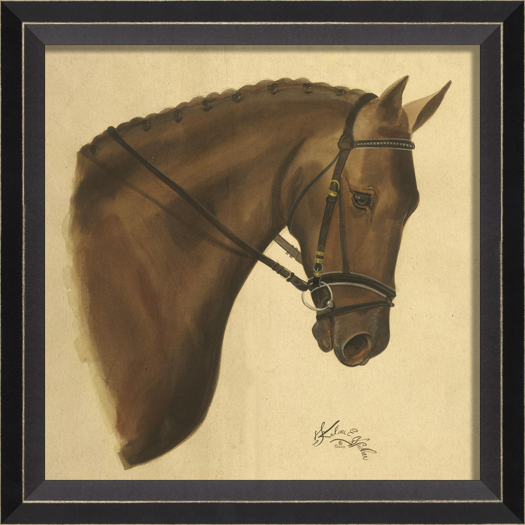 Spicher & Company BC Bay Horse 98366