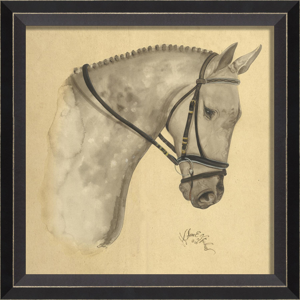 Spicher & Company BC Dappled Grey Horse 98367