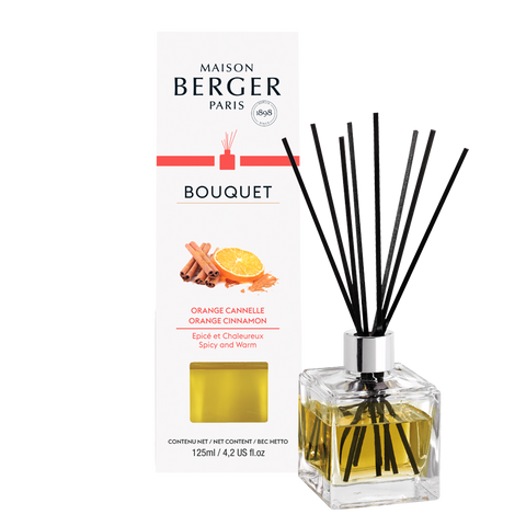 Lampe Berger Orange Cinnamon Cube Reed Diffuser