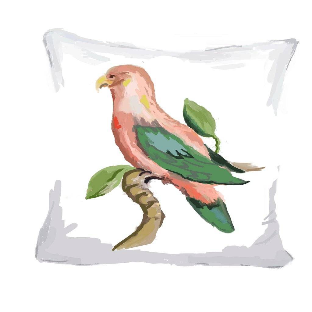 Dana Gibson Pink Parrot Pillow