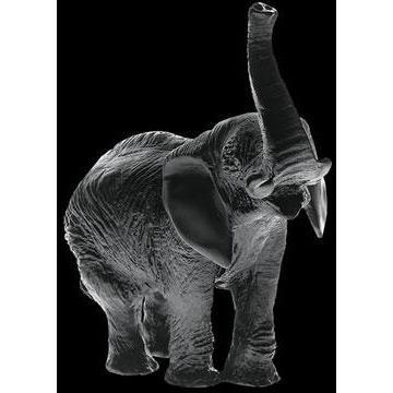Daum Crystal Elephant Black 03239-2