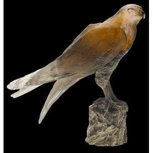 Daum Crystal Saker Hawk Knoop 05154