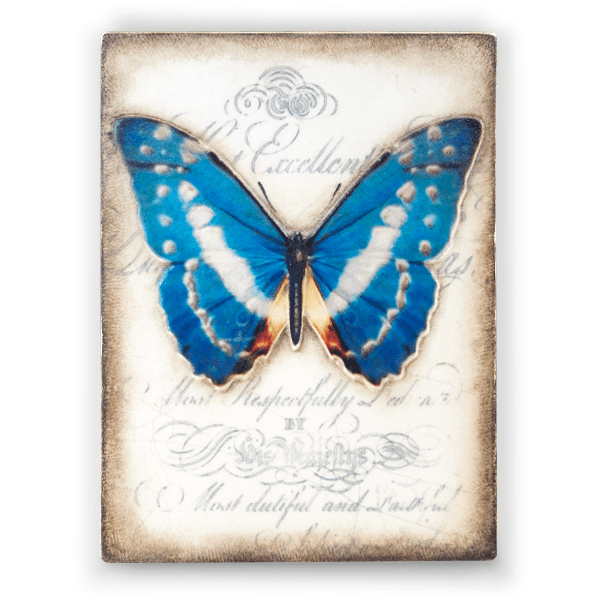 Sid Dickens Metamorphosis Memory Block T373