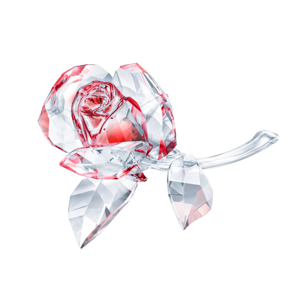 Swarovski Blossoming Rose Red 5428561