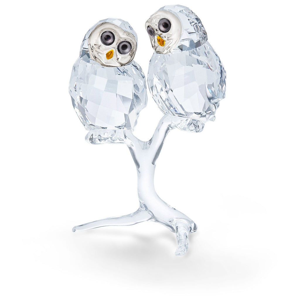 Swarovski Crystal Owl Couple Figurine 5493722