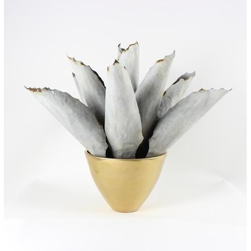 Tommy Mitchell Agave Large 001LAGV