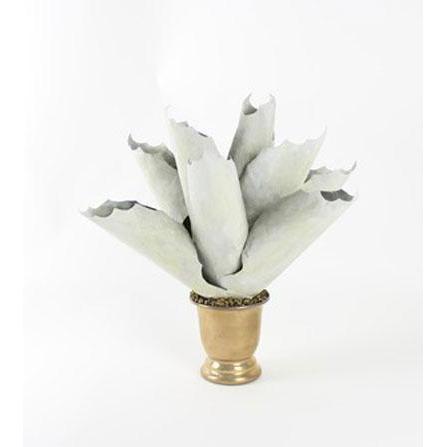 Tommy Mitchell Agave Medium 001MAGV