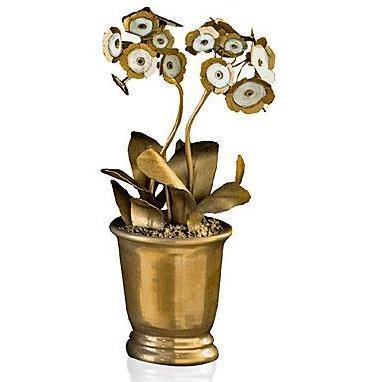 Tommy Mitchell Auricula Double Standard 000DARG