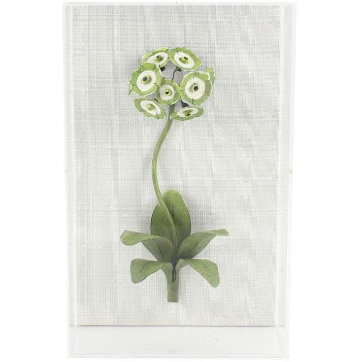 Tommy Mitchell Classic Flower Studies Painted 12 00012PFS