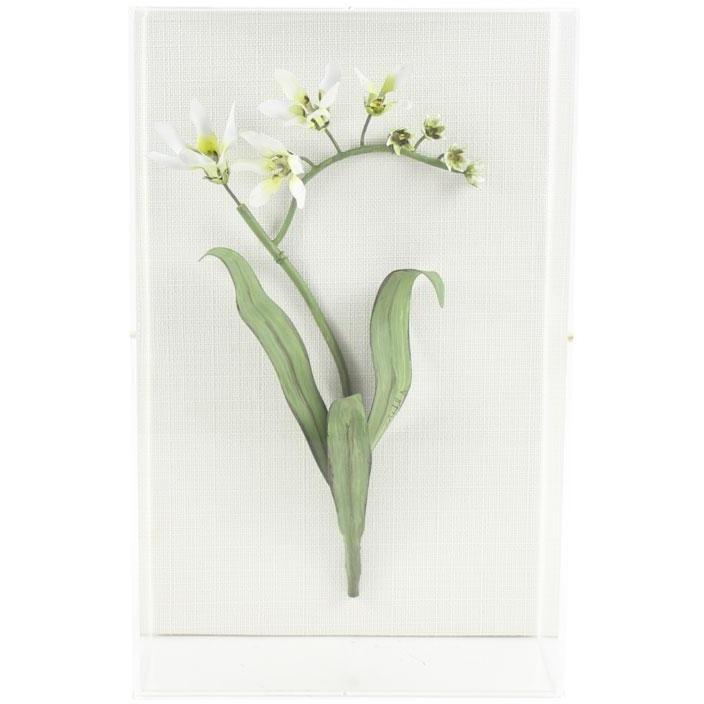 Tommy Mitchell Classic Flower Studies Painted 2 0002PFS