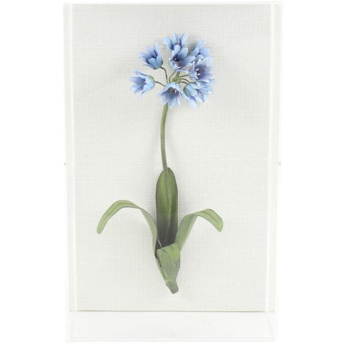 Tommy Mitchell Classic Flower Studies Painted 3 0003PFS