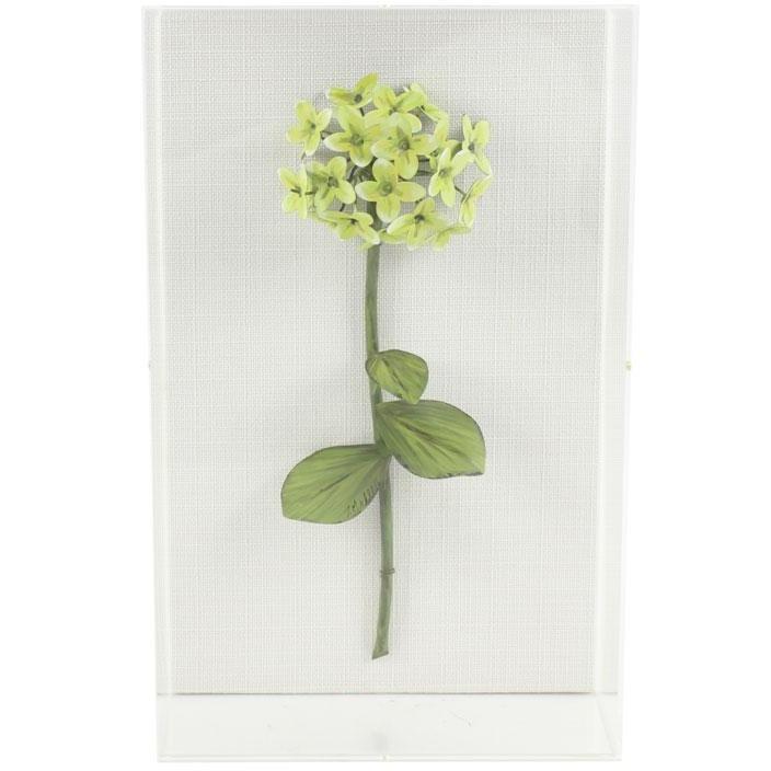 Tommy Mitchell Classic Flower Studies Painted 7 0007PFS