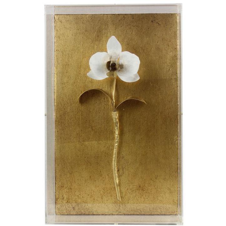 Tommy Mitchell Gilded Orchid Studies 2 0002GOS