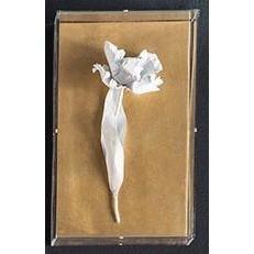 Tommy Mitchell Parrot Tulip Studies 3 003PRTP