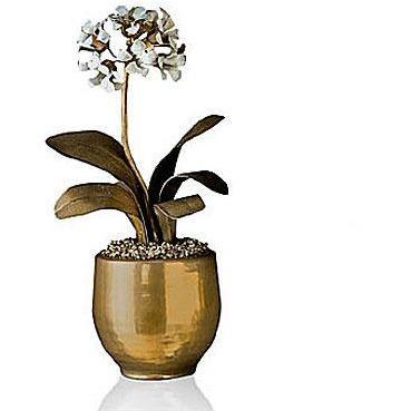 Tommy Mitchell Primula Studio 000SPRG