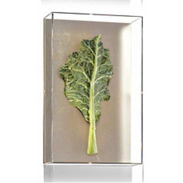Tommy Mitchell Small Vegetable Study Series 4 0004SVS