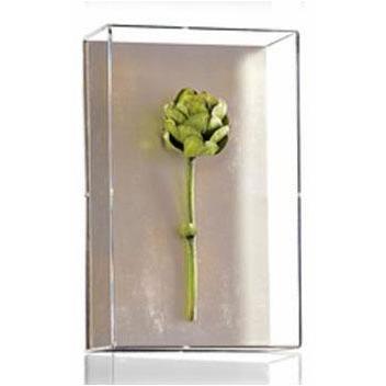 Tommy Mitchell Small Vegetable Study Series 5 0005SVS
