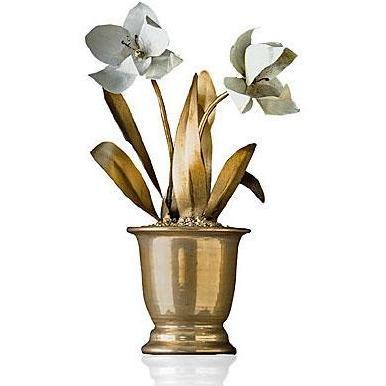 Tommy Mitchell Tulip Double Standard 000DTSG