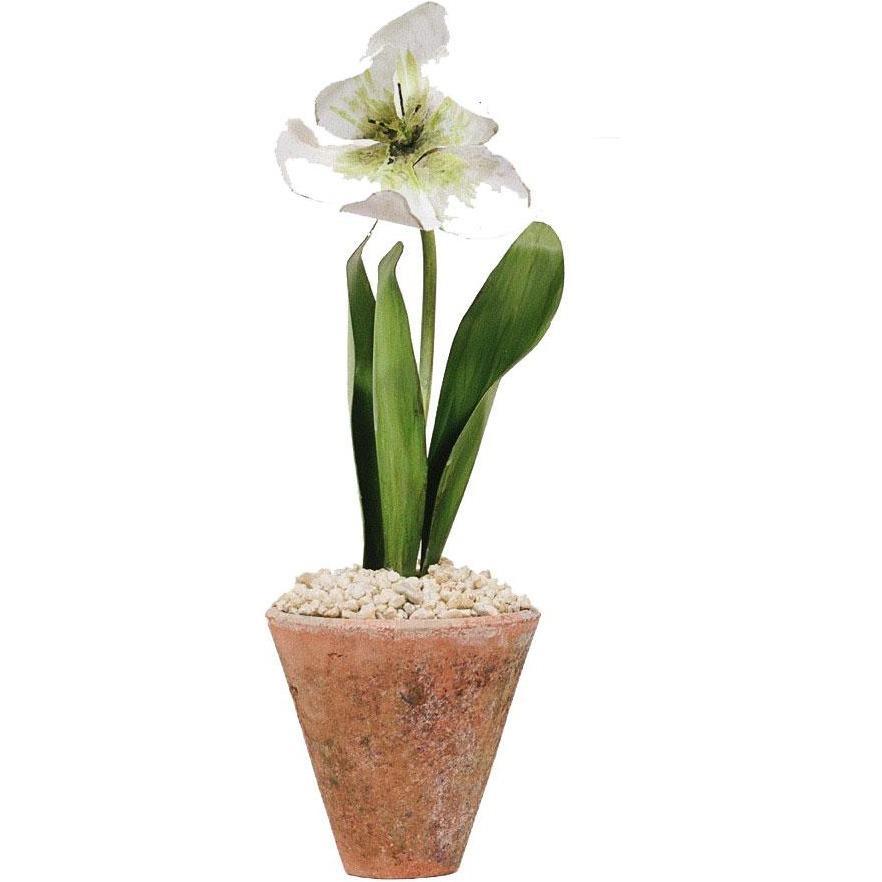 Tommy Mitchell Tulip Studio 000STPP