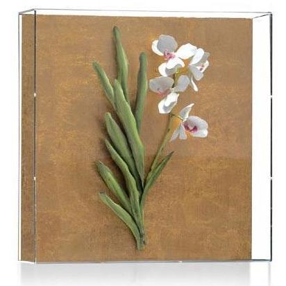 Tommy Mitchell Vanda Orchid Studies - Painted & Guilded 6 0006LVSPG
