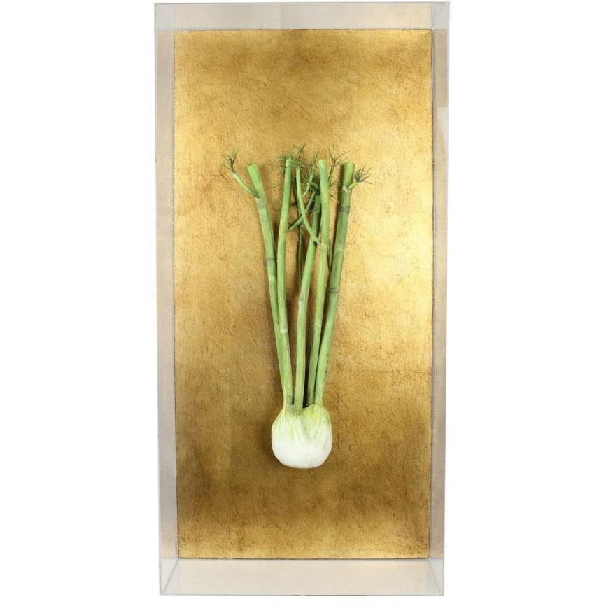 Tommy Mitchell  Vegetable Studies on Gilded Back Fennel 000FEN