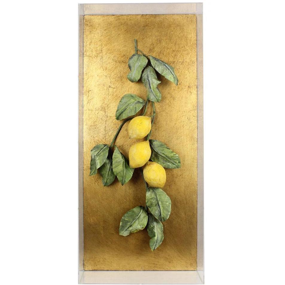 Tommy Mitchell  Vegetable Studies on Gilded Back Lemons 000LEM